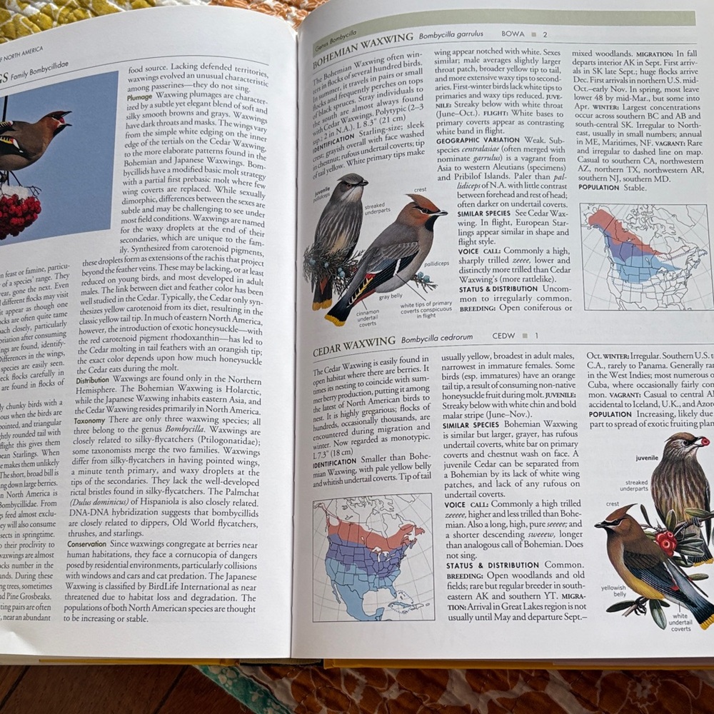 National Geographic Birds of North America - Yellow Edition - Picture 4 of 6